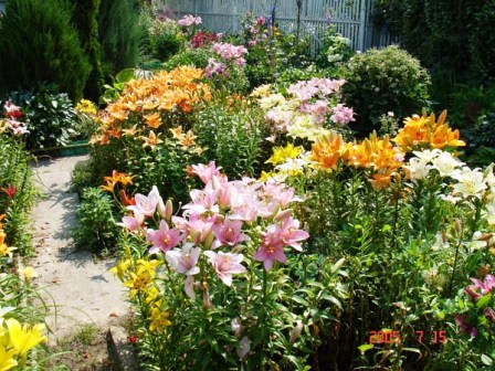 Встречи назначены...