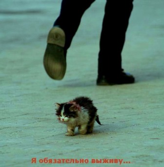 Предательство