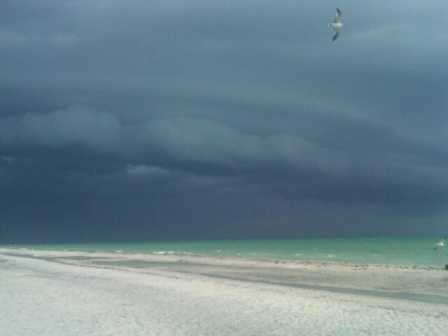 Шторм Андрэ