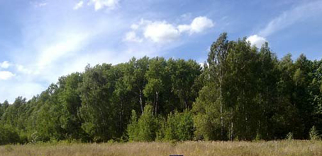 В край родной въезжая