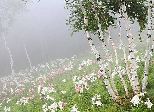 Мысль пришла