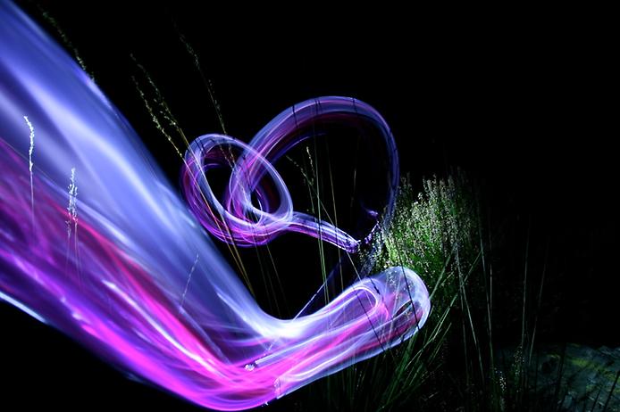 Радуга дуга на дереве