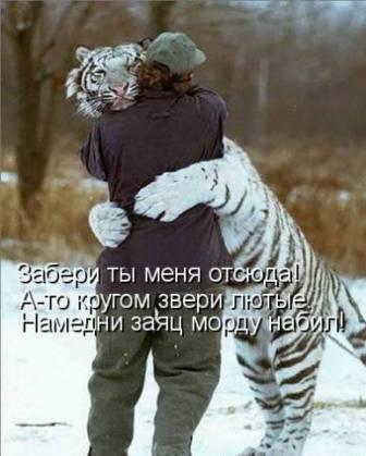 На Зайца Тигр в суд подал