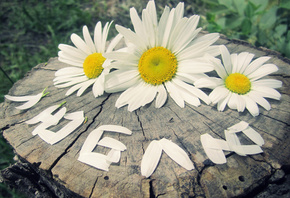 Твои руки как крылья у птицы...