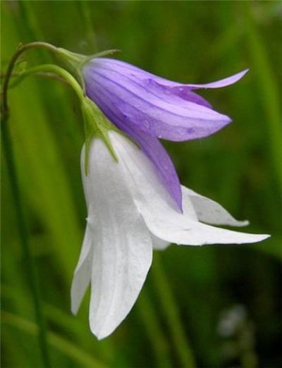 Как я мечтал услышать те слова