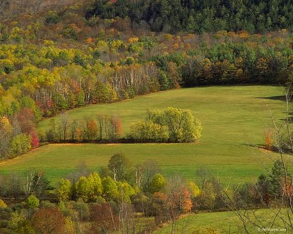 Я иду в разведку