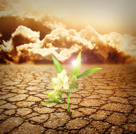 Только любовь