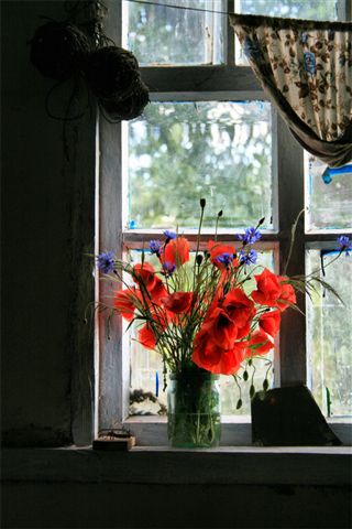 нечаянная радость..