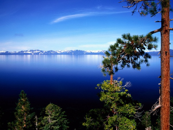 И дух погибшей Атлантиды