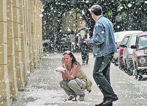 Тополиный пух