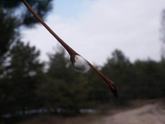 затмения жизни