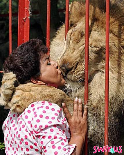 Я Лев! Я в клетке! к фото Яндекс