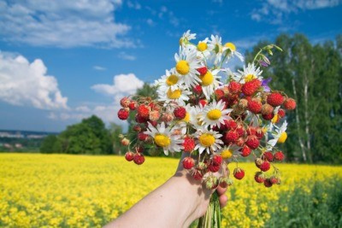 картинки с пожеланиями с днем рождения природа