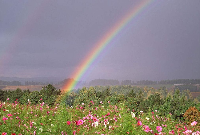 Лето только началось!