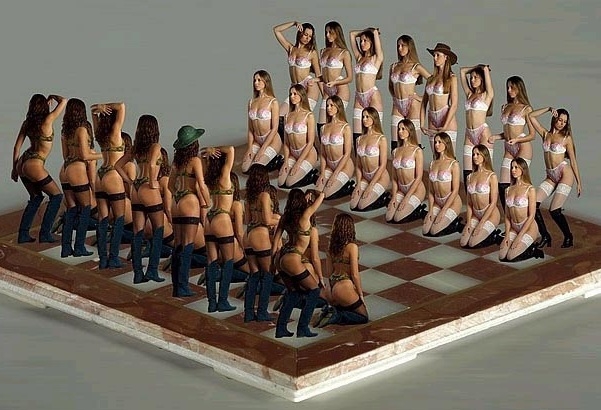 Шахматы