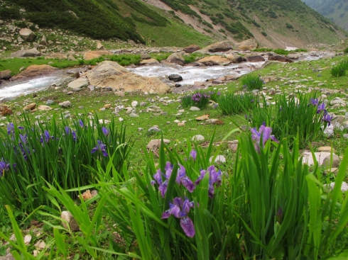 Там за речкой...