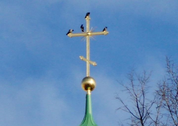 Чудаковатый старик