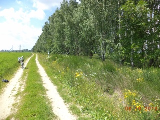 Колы ты Брылёв даш, ципа жэ СийРожка,