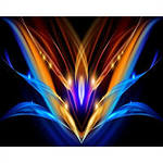 Цветок сердца