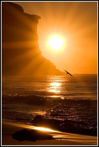 Расскажи солнышко...