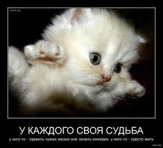 Гадалке вы не верьте...