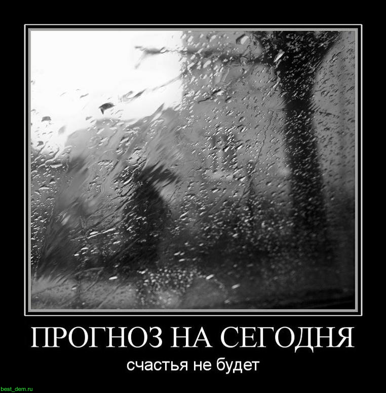 Счастье есть грусть. Дождь за окном. Дождь юмор. Демотиваторы про дождь. Шутки про дождь.