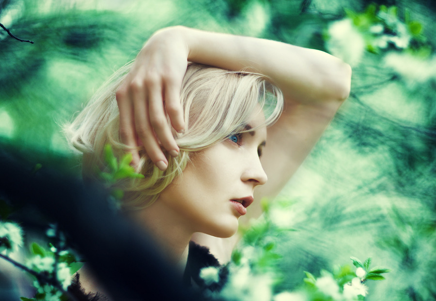 Лес зацелованный дождём