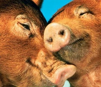 Вот я бы такого как я - не любил