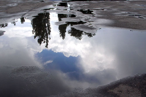 Земля нам Божий монастырь...