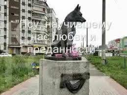 собачья преданность