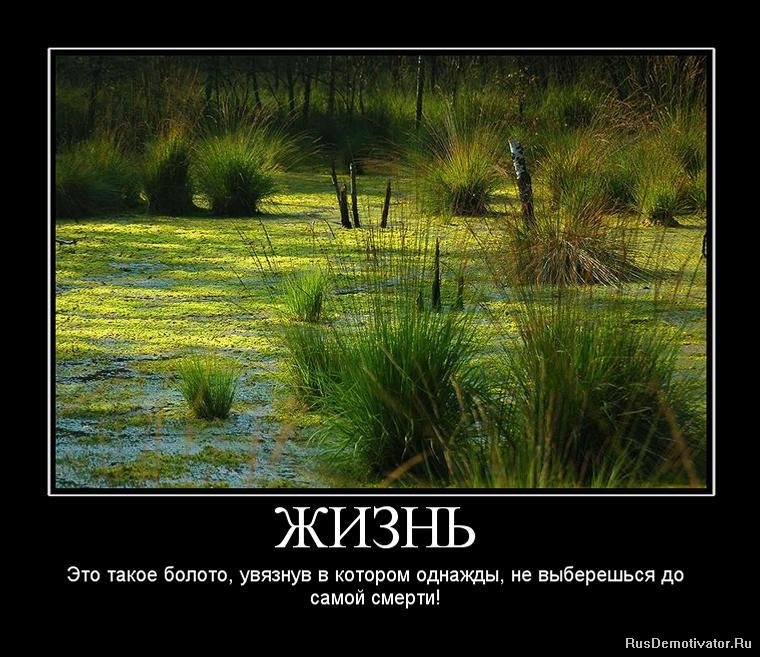 Жизнь полную опасности. Жизнь болото. Дизайн болота. Жизнь как болото.