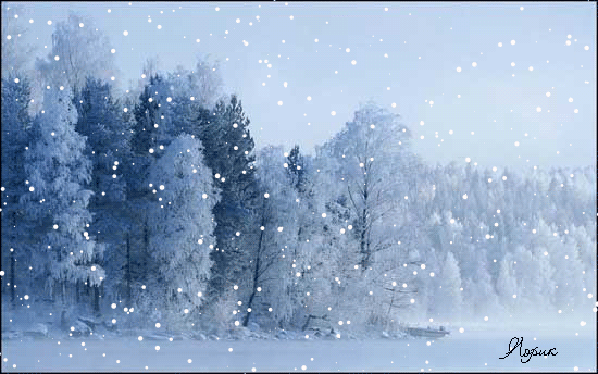 Зимняя прогулка