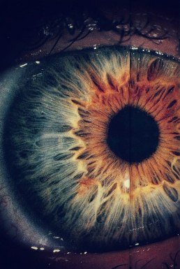 Додо не сказал...