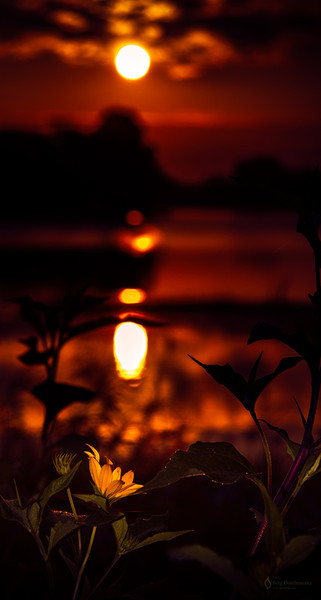 трансфорМАция