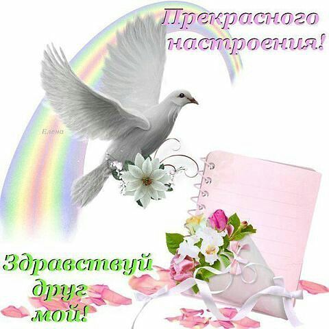 Я за тебя, отдам, всё золото на свете,