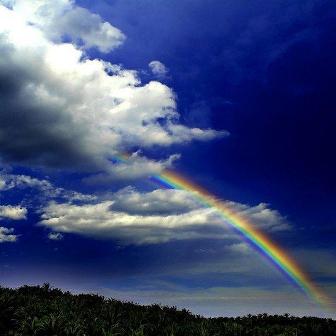 Ну, никак, не сможет