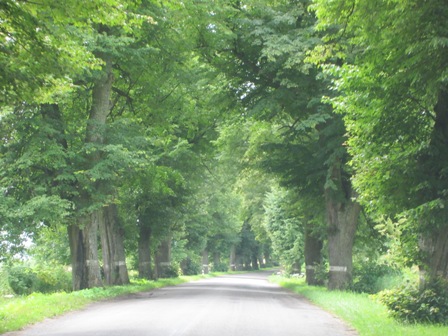 Земля Святого Казимира Литовский край