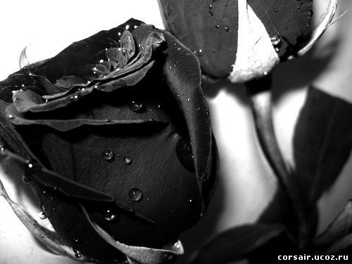 Потеря близкого