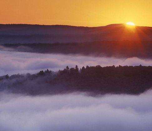 Туманы, словно парным молоком...
