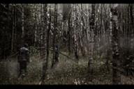 Научат ли? Русский пассаж