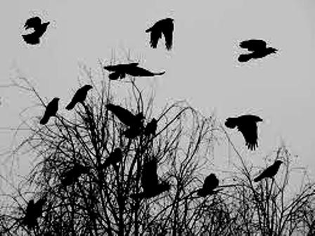 Метео-сердечный пейзаж