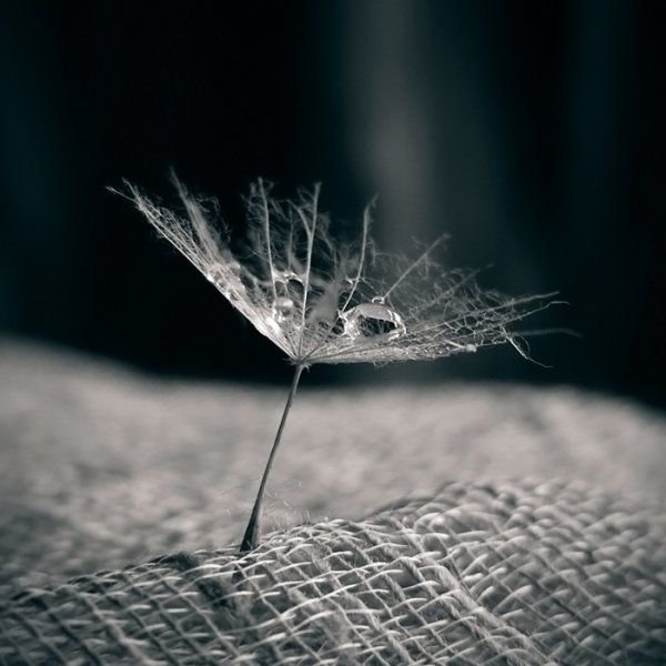 отыграли свои роли...