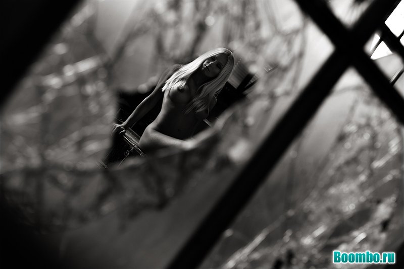 Веточка мимозы...