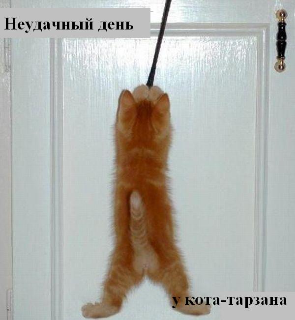 Уж слишком просто, братцы!!!