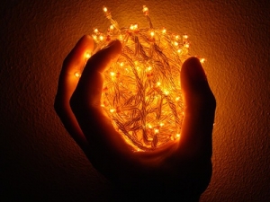 Сердце