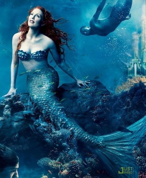 Мир морской