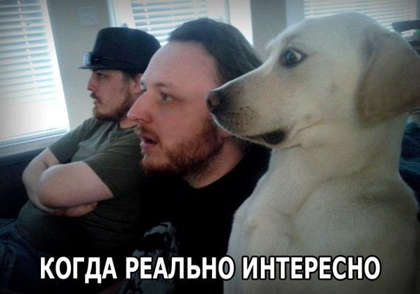 Футбол идёт по телику...