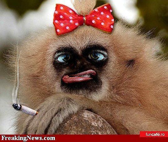 Песнь балды