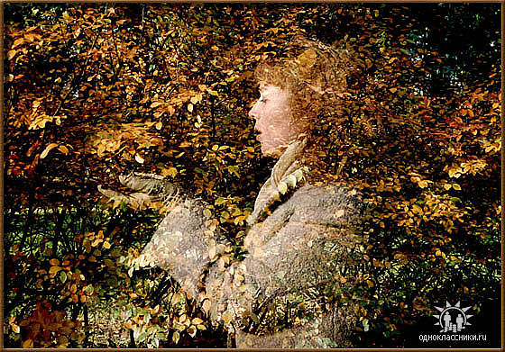 сладкий шанс