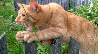 Имей в виду!